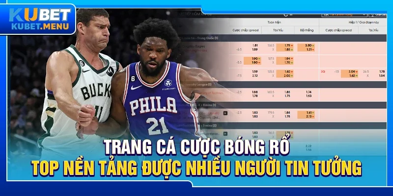 Trang cá cược bóng rổ – Top nền tảng được nhiều người tin tưởng