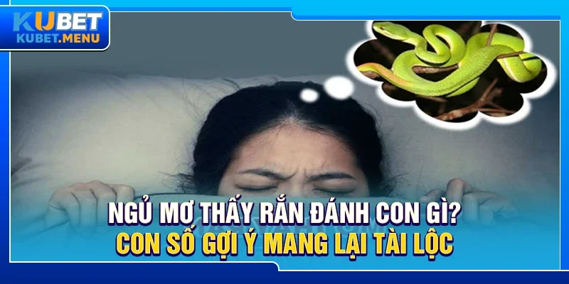 Ngủ mơ thấy rắn đánh con gì? Con số gợi ý mang lại tài lộc