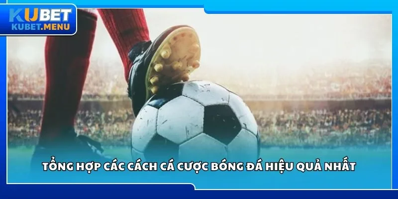 Tổng hợp các cách cá cược bóng đá hiệu quả nhất