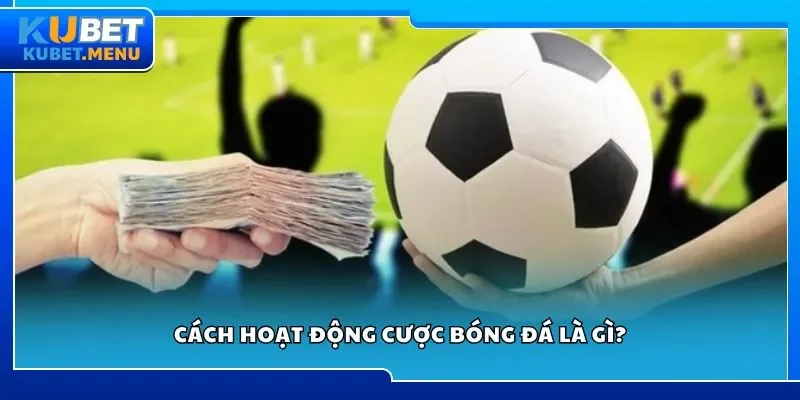 Cách hoạt động cược bóng đá là gì?