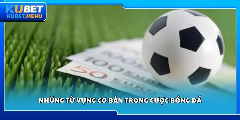Những từ vựng cơ bản trong cược bóng đá