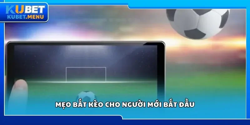 Mẹo bắt kèo cho người mới bắt đầu