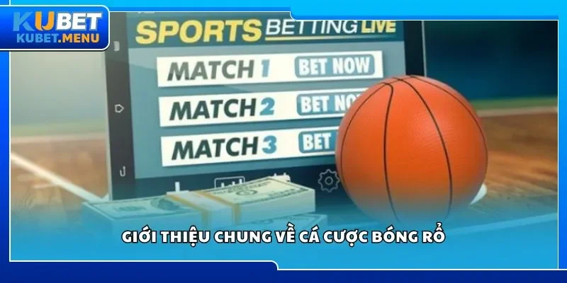 Giới thiệu chung về cá cược bóng rổ