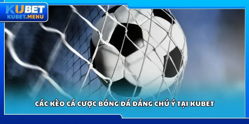 Các kèo cá cược bóng đá đáng chú ý tại Kubet