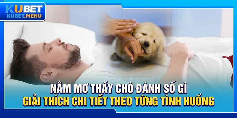 Nằm mơ thấy chó đánh số gì – Giải thích chi tiết theo từng tình huống