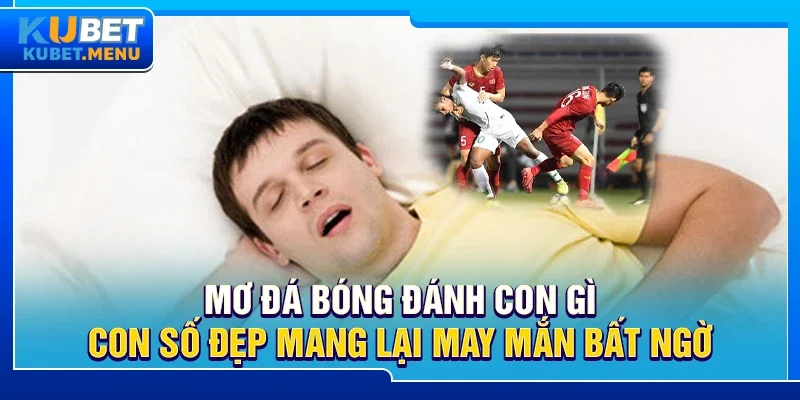 Mơ đá bóng đánh con gì – Con số đẹp mang lại may mắn bất ngờ