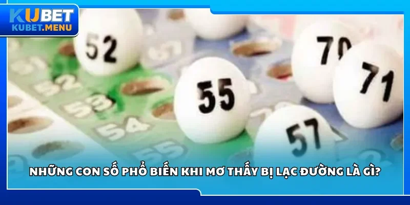 Những con số phổ biến khi mơ thấy bị lạc đường là gì?