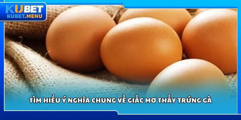 Tìm hiểu ý nghĩa chung về giấc mơ thấy trứng gà