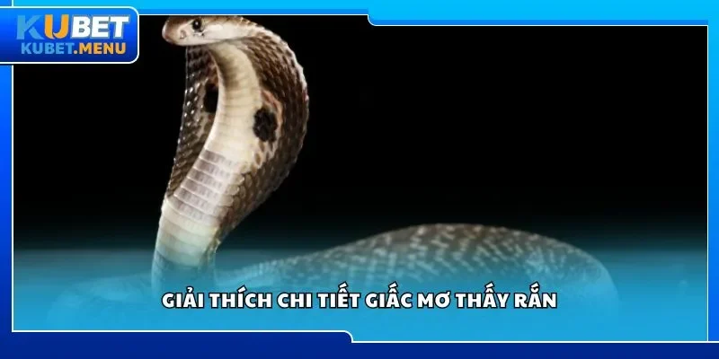 Giải thích chi tiết giấc mơ thấy rắn